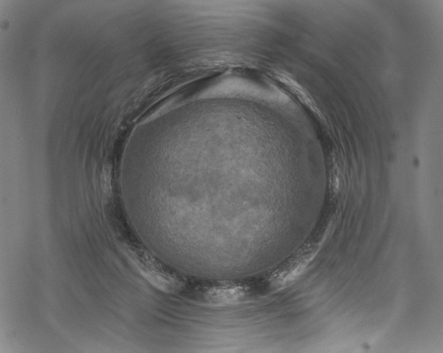 X0000068740213200605051459