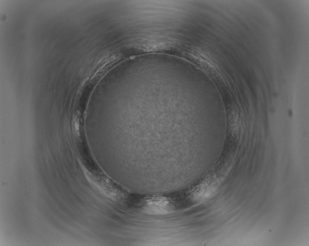 X0000068740214200605051459