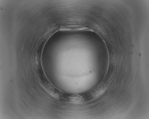 X0000068740215200605051459