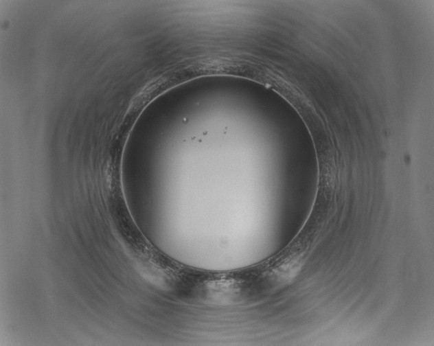 X0000068740216200605051459