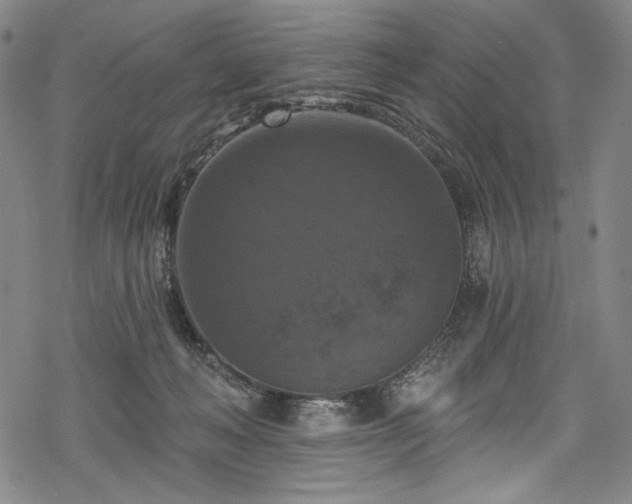 X0000068740222200605051459