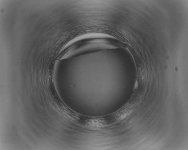 X0000068740223200605051459