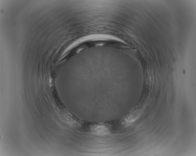 X0000068740224200605051459