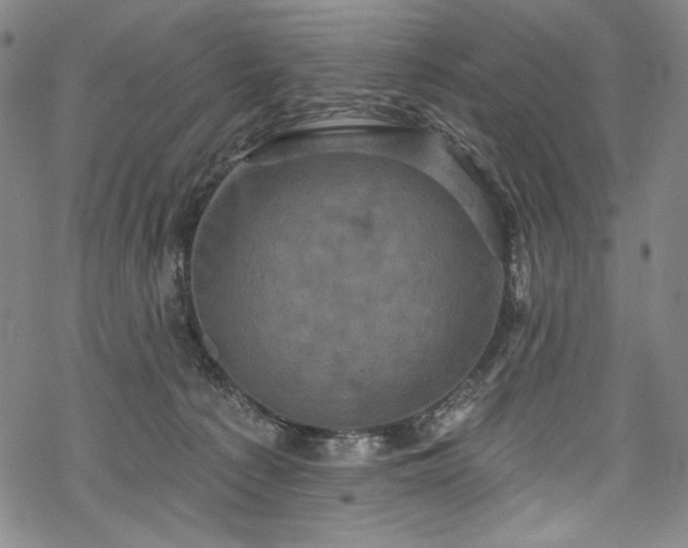 X0000068740225200605051459