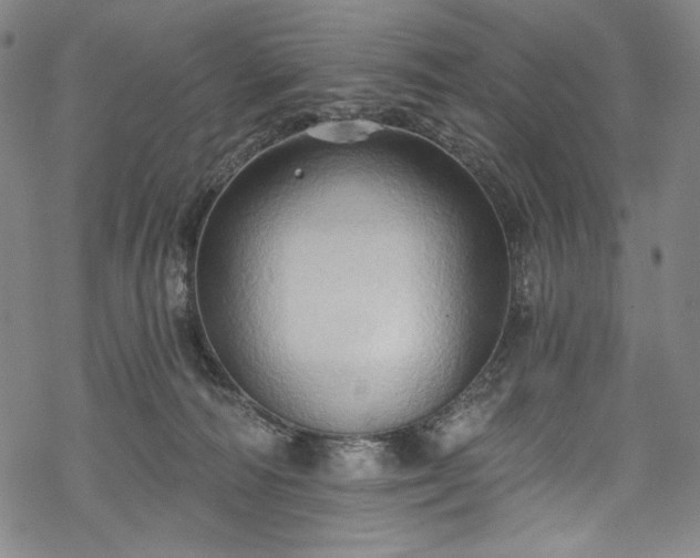 X0000068740226200605051459