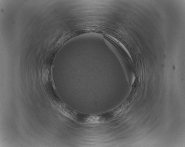 X0000068740227200605051459