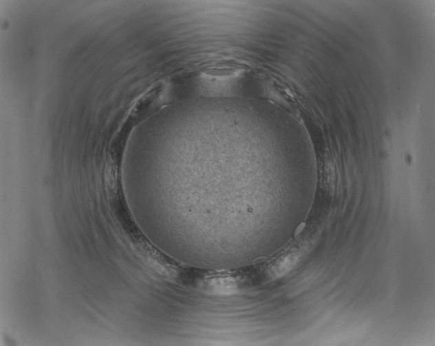 X0000068740228200605051459