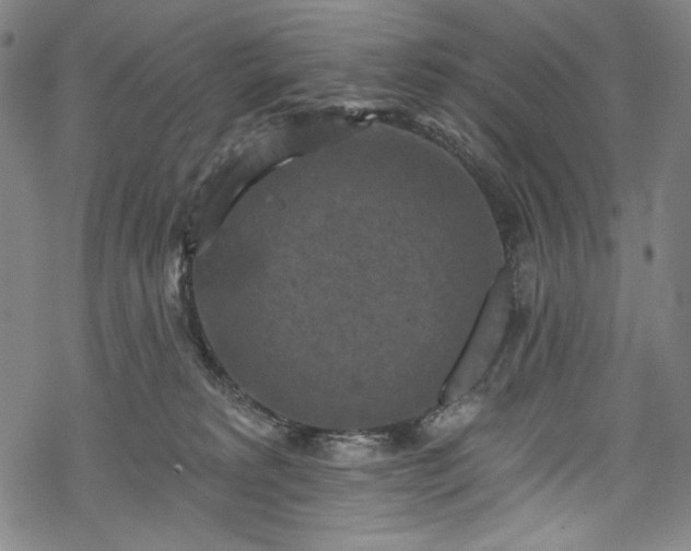 X0000068740229200605051459