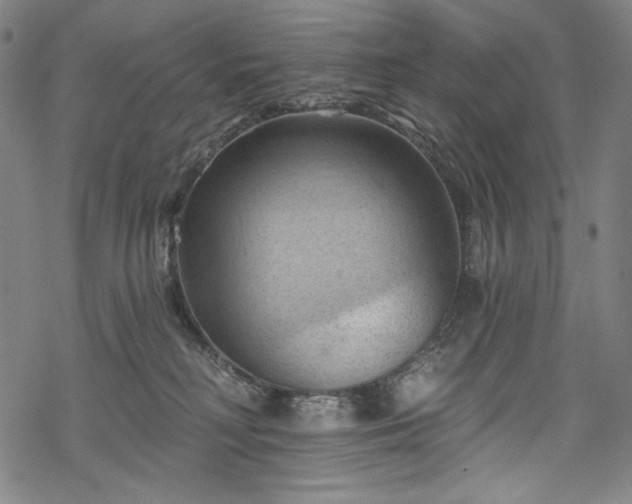 X0000068740230200605051459