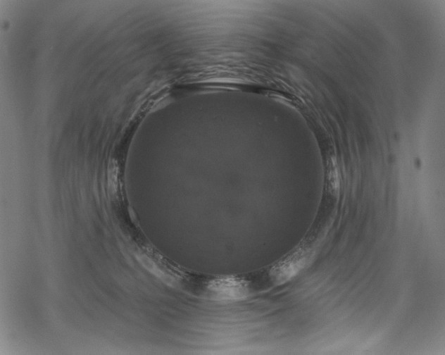 X0000068740231200605051459