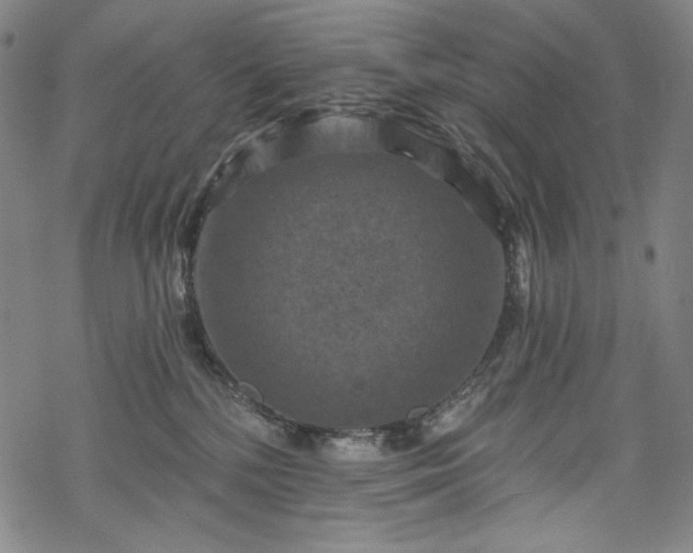 X0000068740232200605051459