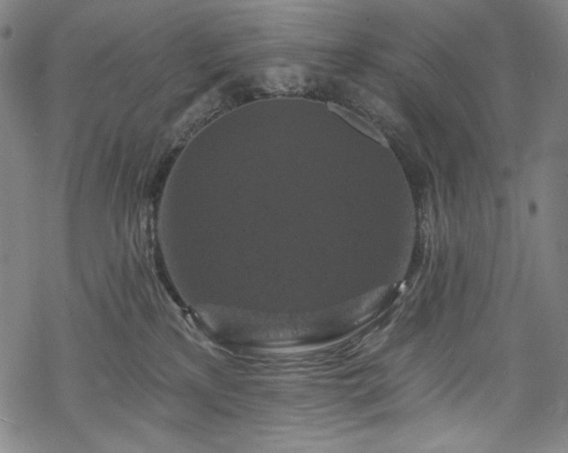 X0000068740233200605051459