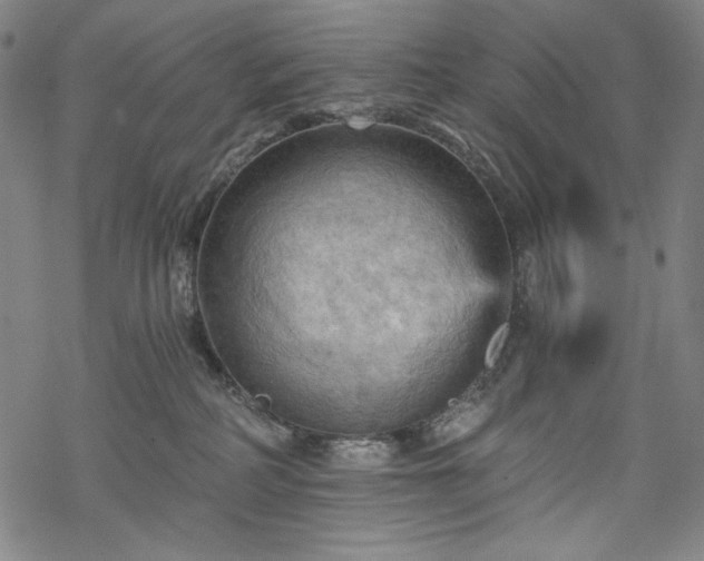 X0000068740234200605051459