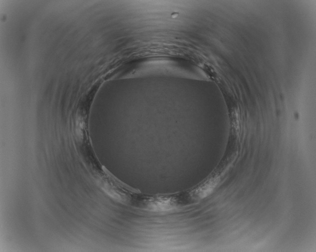 X0000068740235200605051459