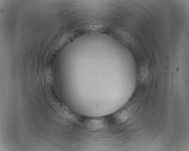 X0000068740236200605051459