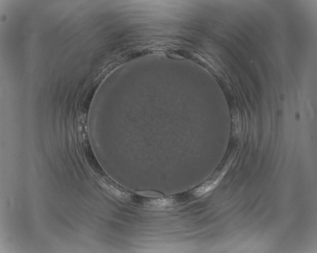 X0000068740237200605051459