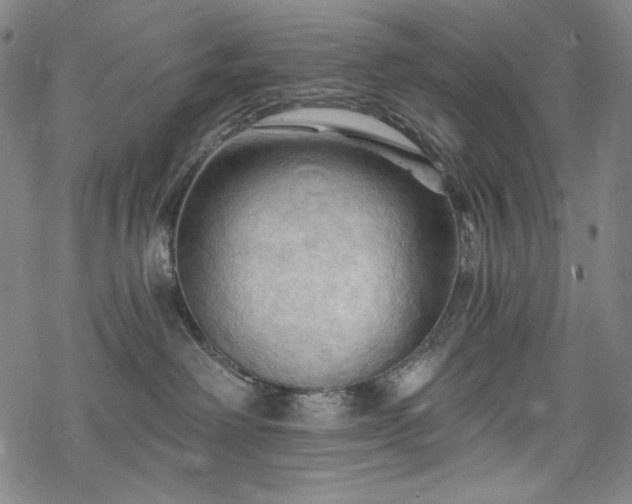 X0000068740238200605051459