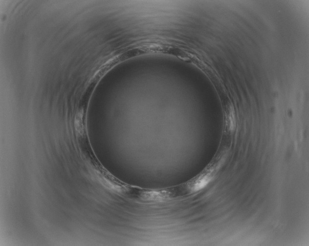 X0000068740239200605051459