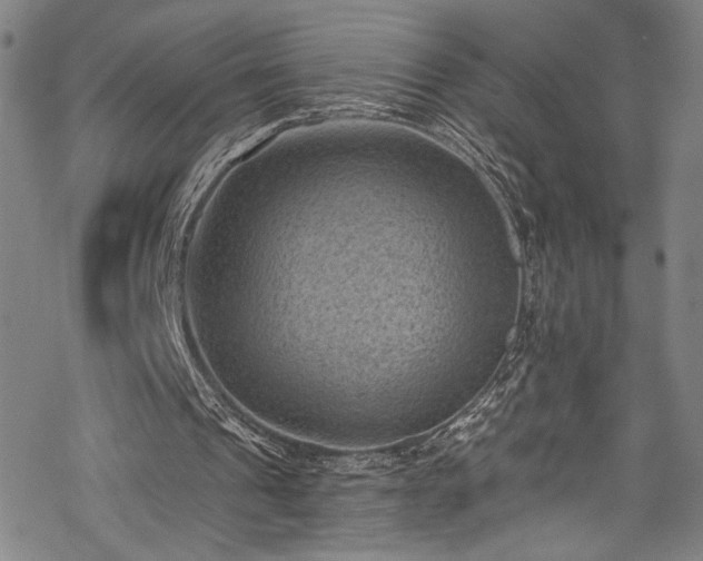 X0000068740241200605051458