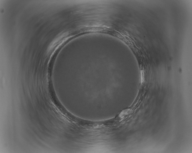 X0000068740243200605051458