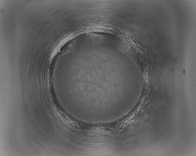 X0000068740244200605051458