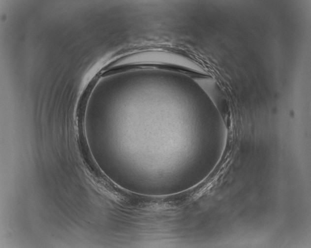 X0000068740246200605051458