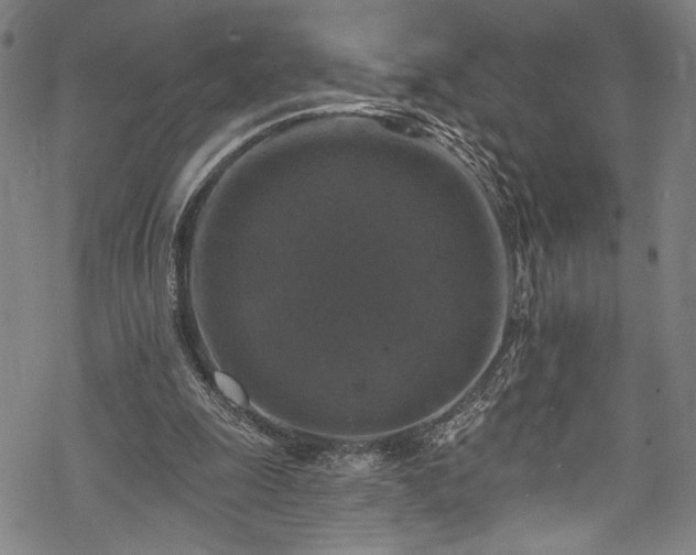 X0000068740247200605051458