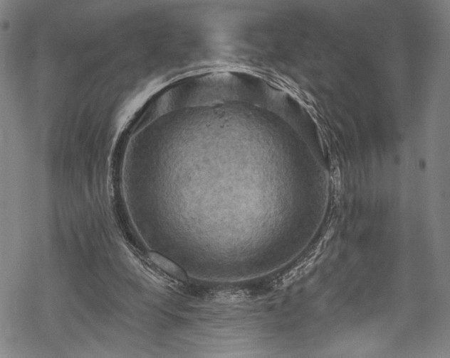 X0000068740248200605051458