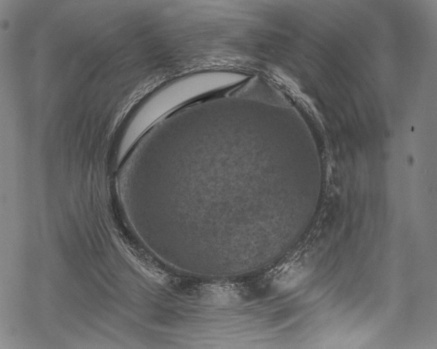 X0000068740250200605051458