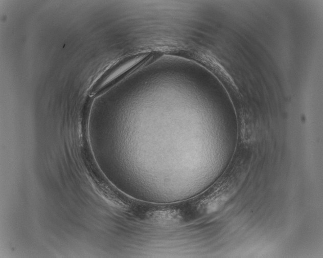 X0000068740251200605051458