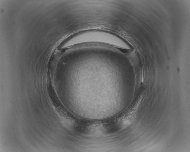 X0000068740252200605051458