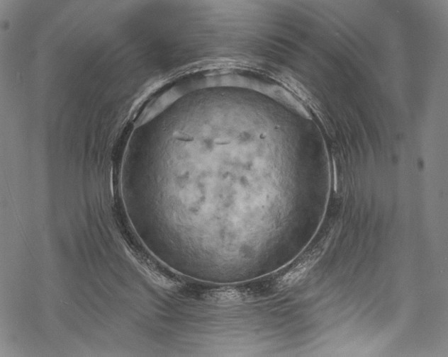 X0000068740253200605051458