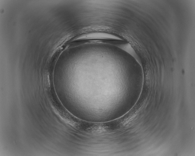 X0000068740254200605051458