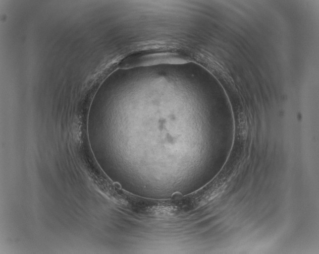 X0000068740255200605051458