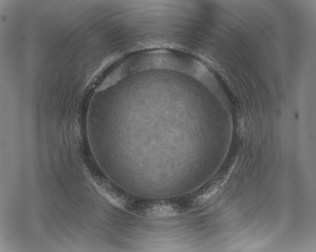 X0000068740256200605051458