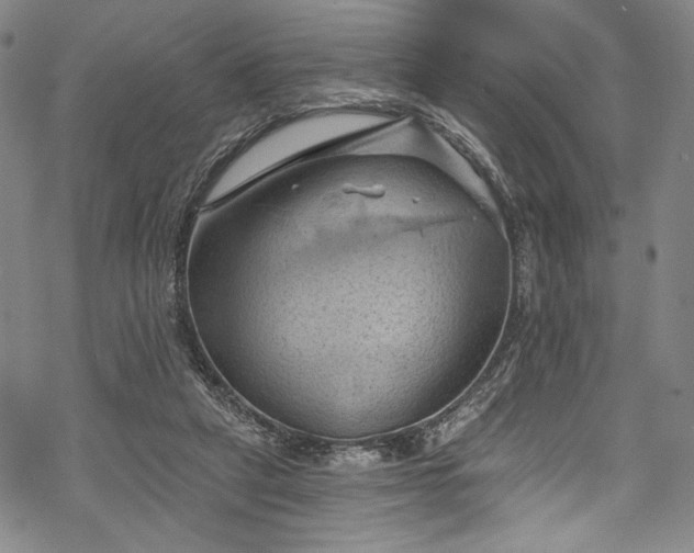 X0000068740257200605051459