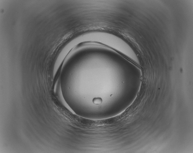 X0000068740260200605051459