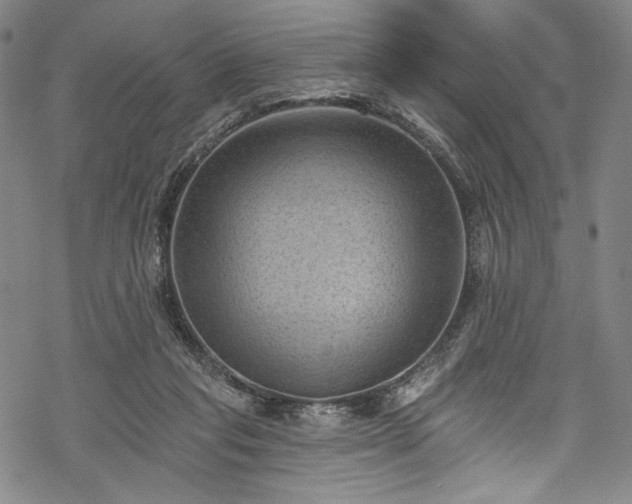 X0000068740261200605051459