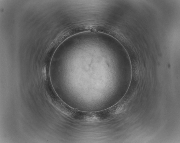 X0000068740262200605051459