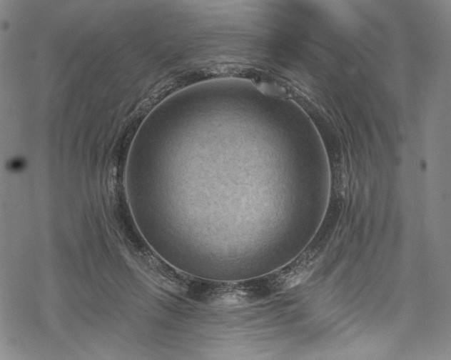 X0000068740263200605051459