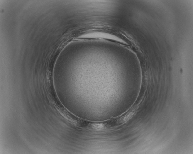 X0000068740265200605051459