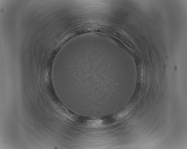 X0000068740266200605051459