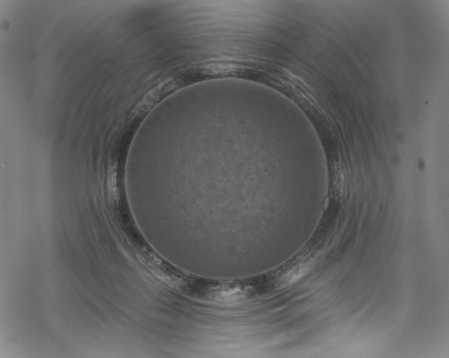 X0000068740267200605051459