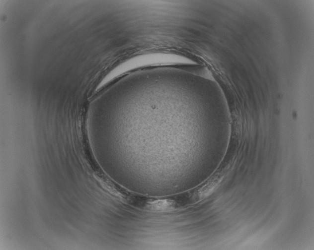 X0000068740269200605051459