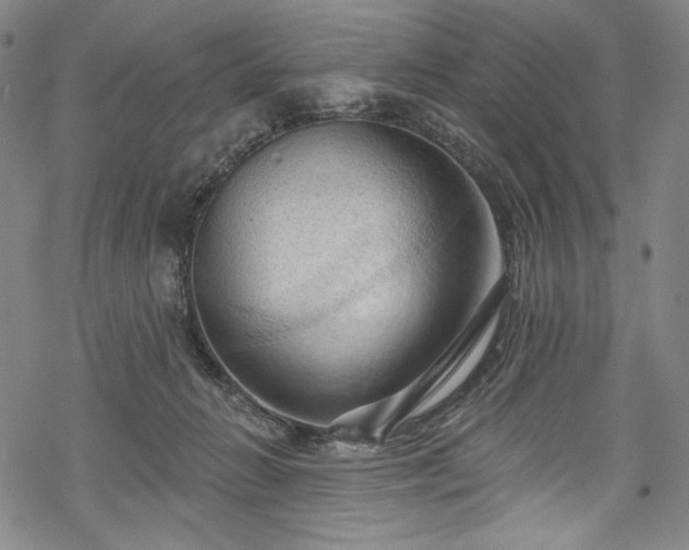 X0000068740270200605051459