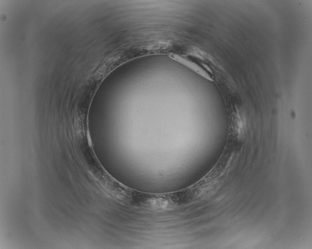 X0000068740272200605051459