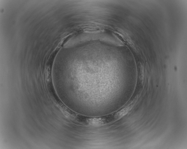 X0000068740273200605051459