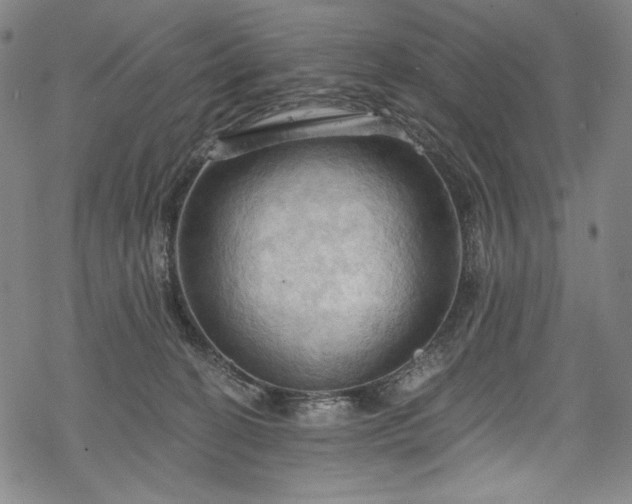 X0000068740274200605051459