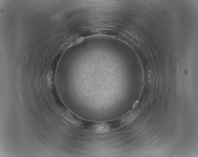 X0000068740275200605051459