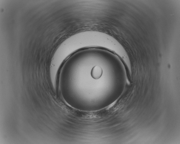 X0000068740276200605051459